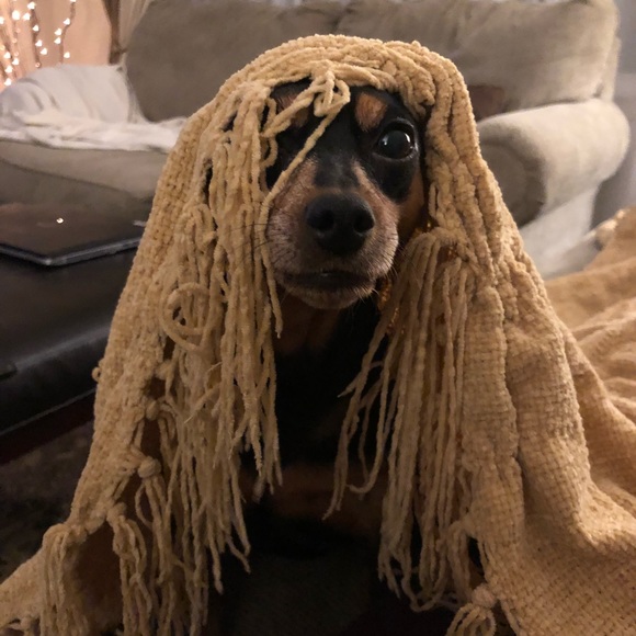 Meet your Posher, Richard - Picture 2 of 2